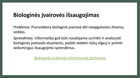 Infografika: Dažniausiai pasitaikančios P1 sąsajos problemos ir jų sprendimai