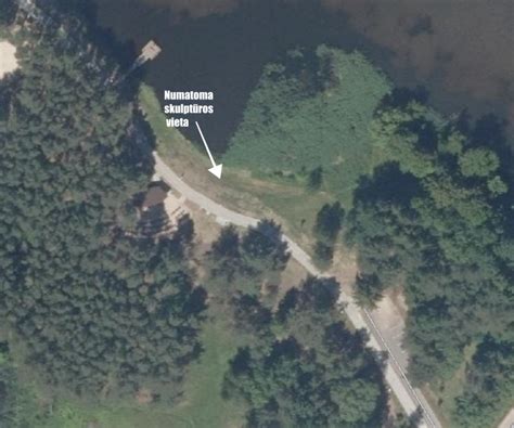 Maršrutizatoriaus pastatymo vieta