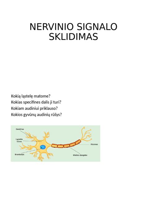 Routerio signalo sklidimas bute