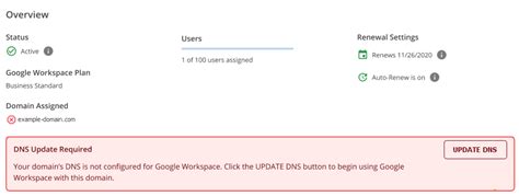 Google Workspace DNS nustatymų pavyzdys