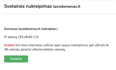 IP adreso ir DNS nustatymų pavyzdys