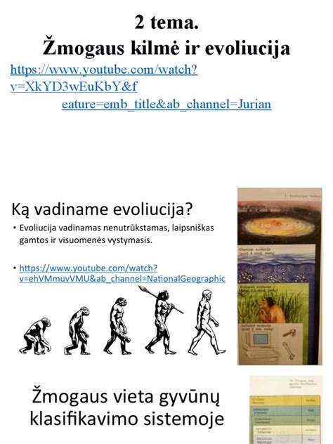 Schema: ES tarptinklinio ryšio reguliavimo evoliucija