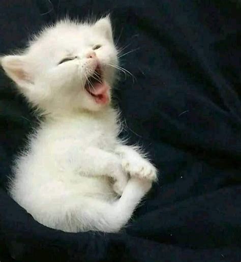 Žmogus su skėčiu ir paltu