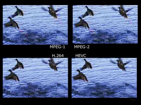 Grafikas, lyginantis skaitmeninės TV glaudinimo standartus