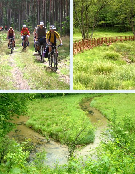 Dviračių takas Dzūkijos nacionaliniame parke