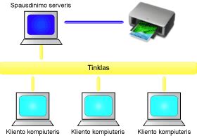 Tinklo spausdintuvo bendrinimas