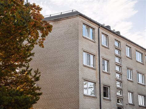 Įvairūs daugiabučio namo bendrojo naudojimo elementai (laiptinė, stogas, rūsys)