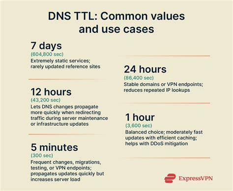 DNS įrašo TTL reikšmės