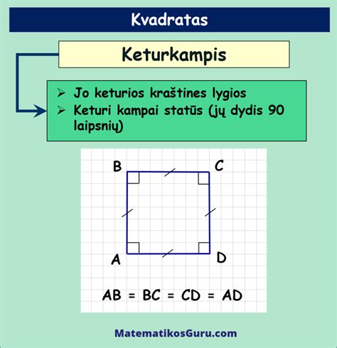 Bi Kvadratas antenos schema