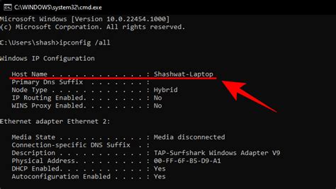 Komandinės eilutės naudojimas IP adreso paieškai