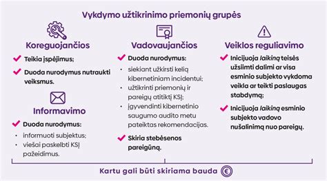 Infografikas, iliustruojantis DNS saugumo grėsmes ir apsaugos priemones