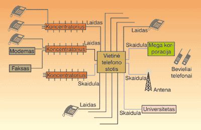Schema, rodanti MCC ir MNC kodų struktūrą mobiliojo ryšio tinkluose