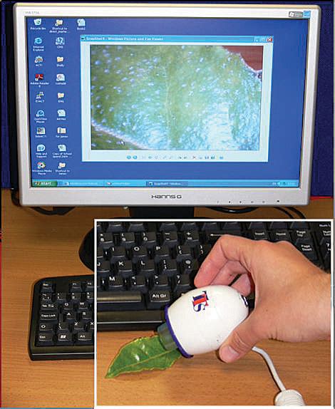 USB kabeliu jungiamas telefonas prie kompiuterio