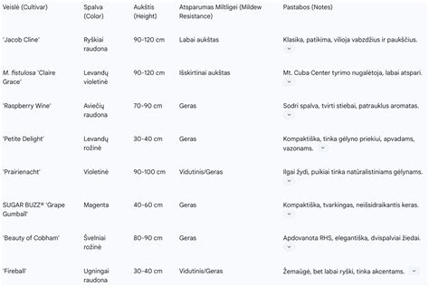 5G modemo specifikacijų palyginimo lentelė