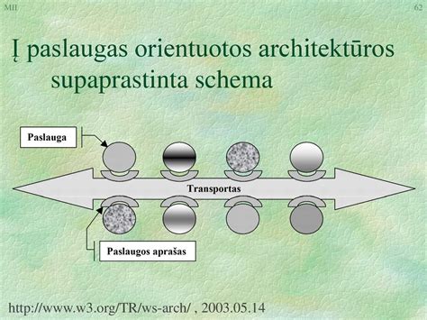 Optinio tinklo (POL) architektūros schema
