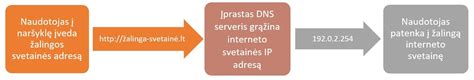 Schema, paaiškinanti kaip veikia DNS