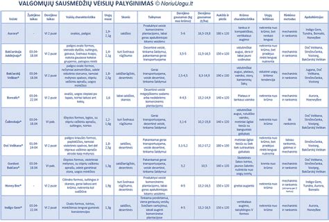 Palyginamoji lentelė: Greičiausi DNS serveriai Lietuvoje