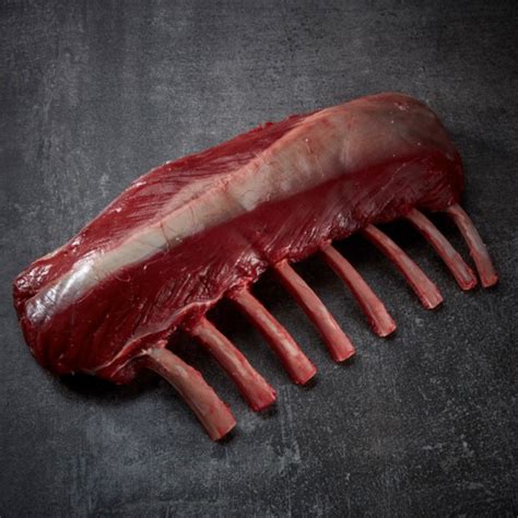 Nugarinė Wi-Fi maršrutizatoriaus su lipduku