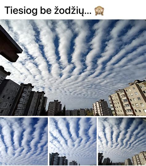 Žmonės dalinasi Wi-Fi slaptažodžiu