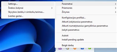 Windows nustatymų langas