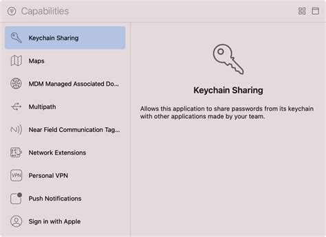 Keychain Access programa su slaptažodžio rodymo parinktimi