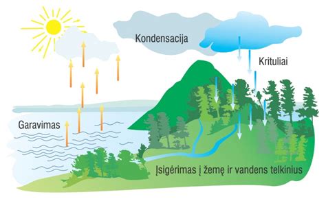 Vandens ciklas gamtoje