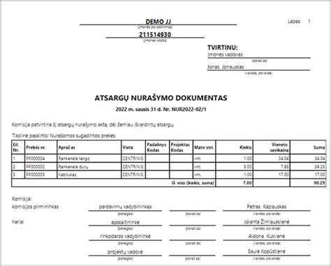 DNS zonos įrašų pavyzdys