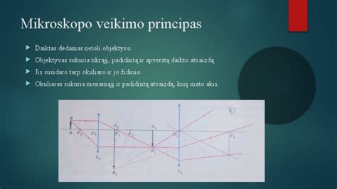 Schematinis DNS veikimo principas