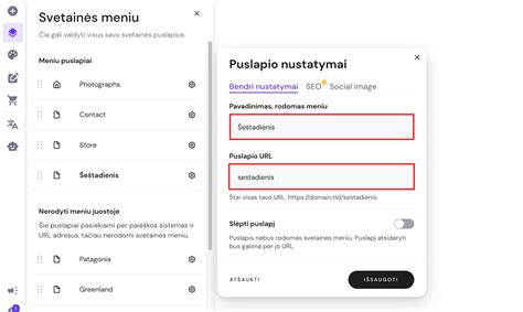 Pavyzdys, kaip atrodo DNS įrašo kūrimo forma Hostinger platformoje