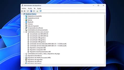 Windows įrenginių tvarkytuvė su tinklo adapteriais