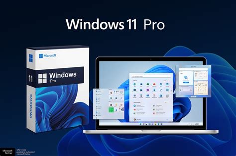 Windows 11 Pro tinklo valdymo parinktys