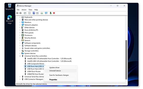 Windows Device Manager su tinklo adapteriu