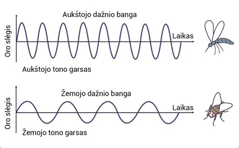 Aukšto dažnio garso bangos