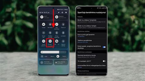 APN nustatymų langas