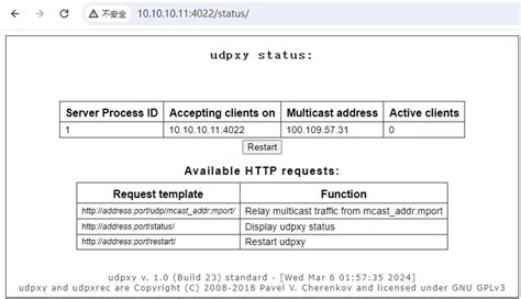 UDPXY konfigūracijos schema