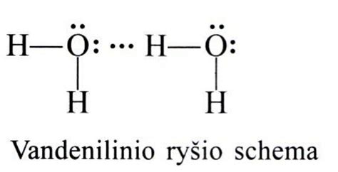 VLAN Trunk ryšys tarp dviejų jungiklių