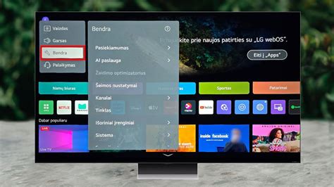 LG televizoriaus tinklo būsenos ekrano piktogramos