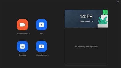 Zoom programos nustatymų langas su pasirinkta kamera