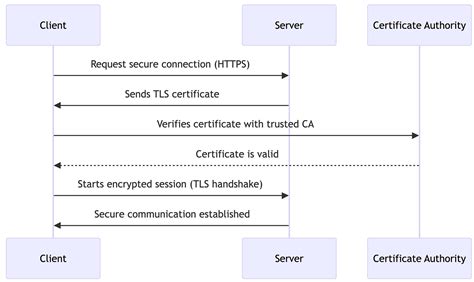 TLS sertifikato grandininio pasitikėjimo schema