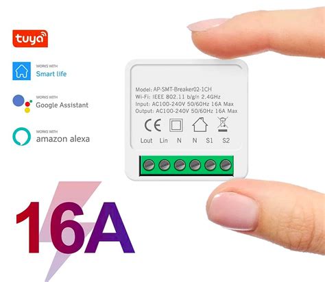 Išmaniosios rozetės suderinamumas su balso asistentais