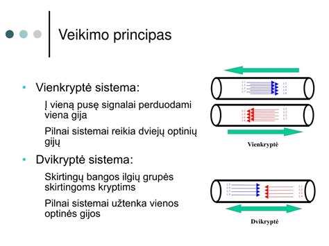 Sutankinimo principas